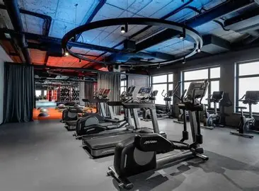 Zona cardiovascular